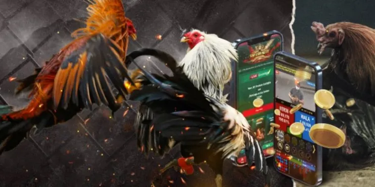 Hé Lộ Cách Chơi Đá Gà GA28 Tại BET69 Thắng Lớn Mỗi Ngày 2 Hé Lộ Cách Chơi Đá Gà GA28 Tại BET69 Thắng Lớn Mỗi Ngày