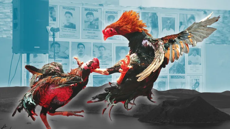 Bậc Thầy Đá Gà Sabong Tại BET69 Hướng Dẫn Chơi Bất Bại 2 Bậc Thầy Đá Gà Sabong Tại BET69 Hướng Dẫn Chơi Bất Bại