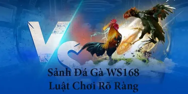Cách Chơi Đá Gà WS168 Tại BET69 Thắng Chắc 2 Cách Chơi Đá Gà WS168 Tại BET69 Thắng Chắc