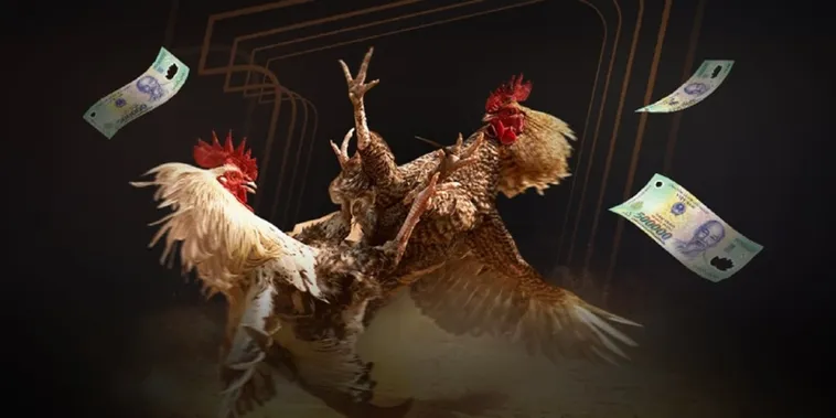 Bí Kíp Soi Kèo Đá Gà BET69 Bách Phát Bách Trúng Từ Cao Thủ