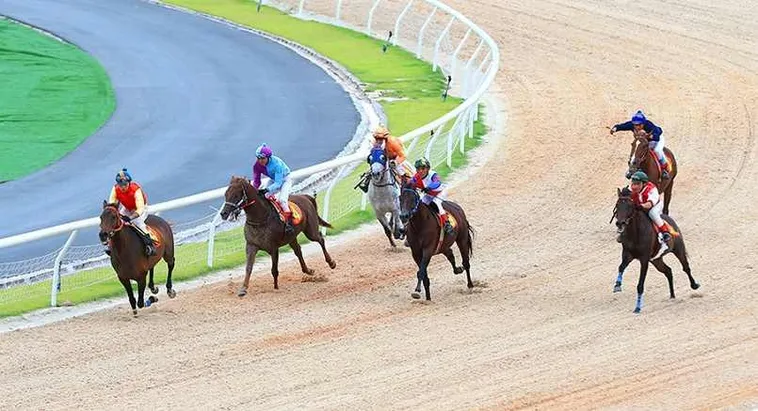 Bí Kíp Cá Cược Đua Ngựa BET69 Từ A Đến Z Cho Tân Thủ 1 Bí Kíp Cá Cược Đua Ngựa BET69 Từ A Đến Z Cho Tân Thủ